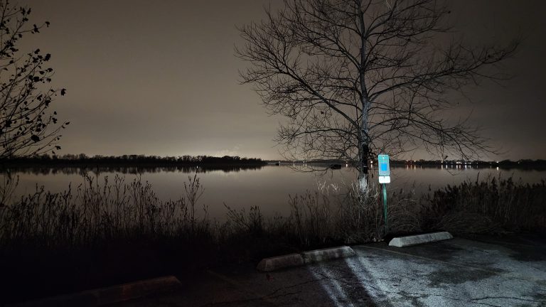 A bare winter tree beside a still, dark lake at night, empty parking lot in the foreground under a grey sky