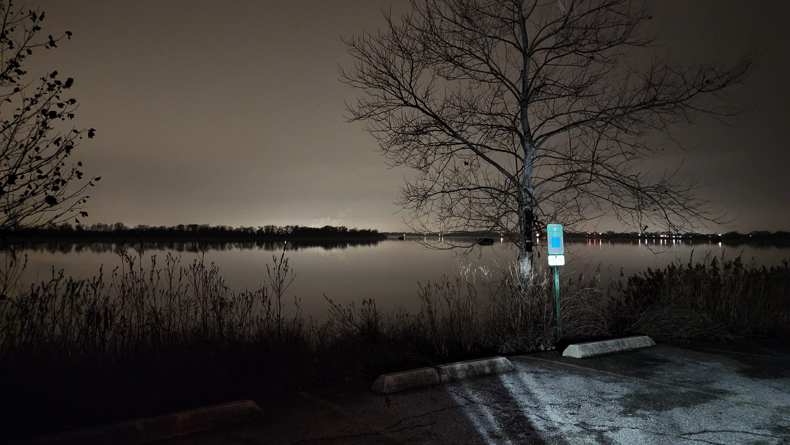 A bare winter tree beside a still, dark lake at night, empty parking lot in the foreground under a grey sky